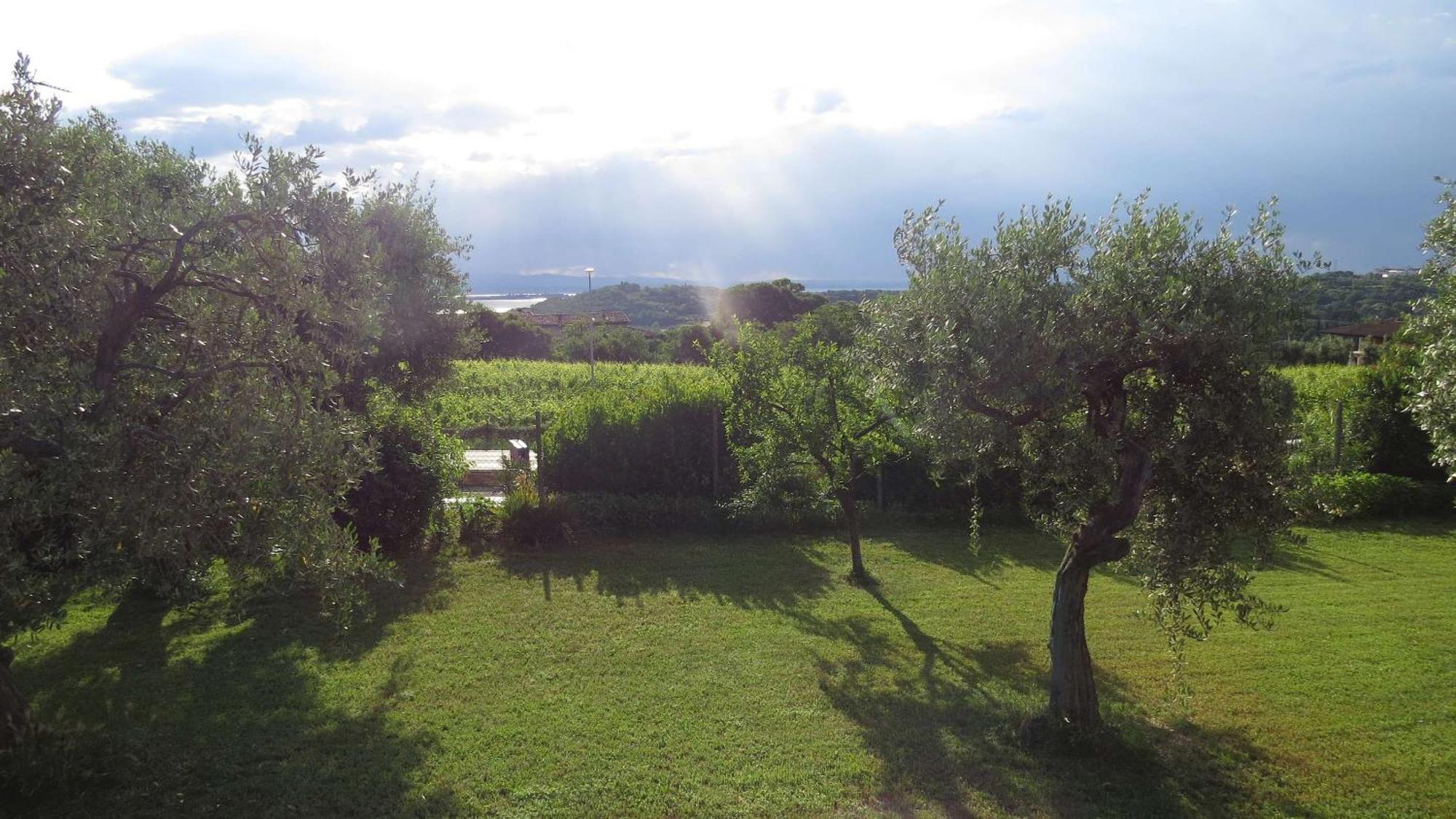 Il Gelso Di Barcuzzi Bed & Breakfast Lonato Eksteriør bilde