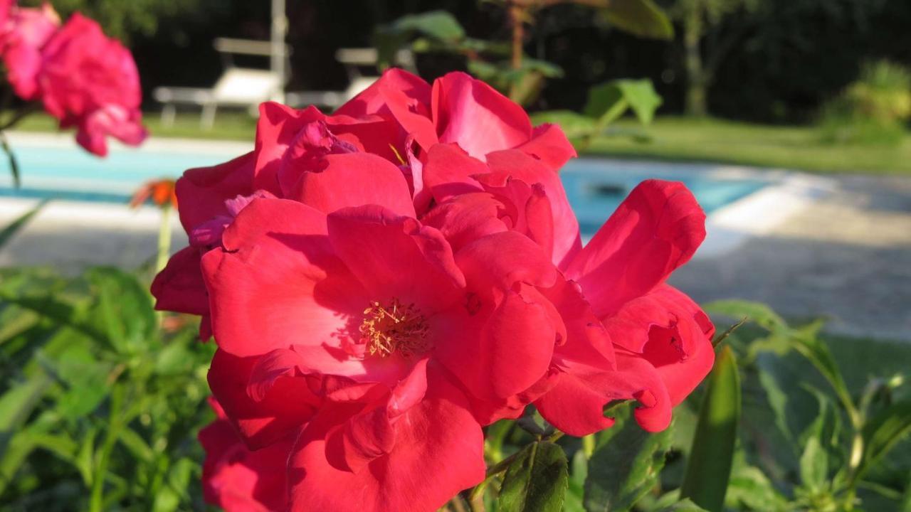 Il Gelso Di Barcuzzi Bed & Breakfast Lonato Eksteriør bilde