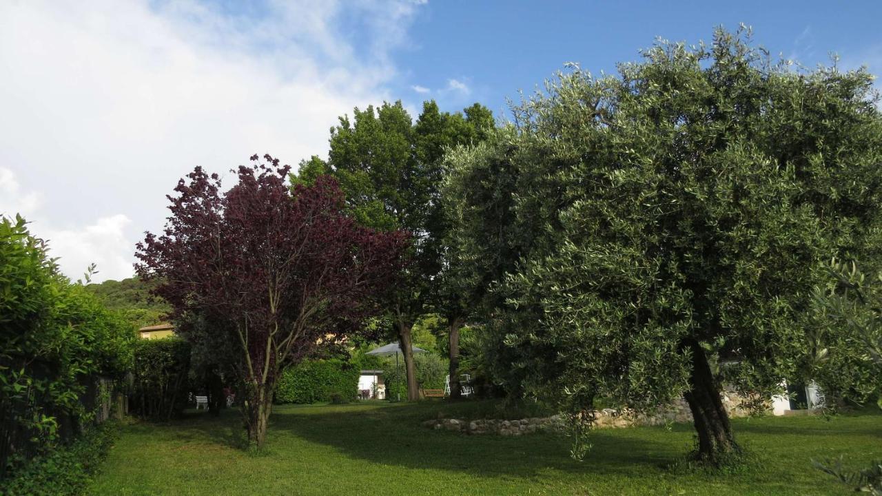 Il Gelso Di Barcuzzi Bed & Breakfast Lonato Eksteriør bilde