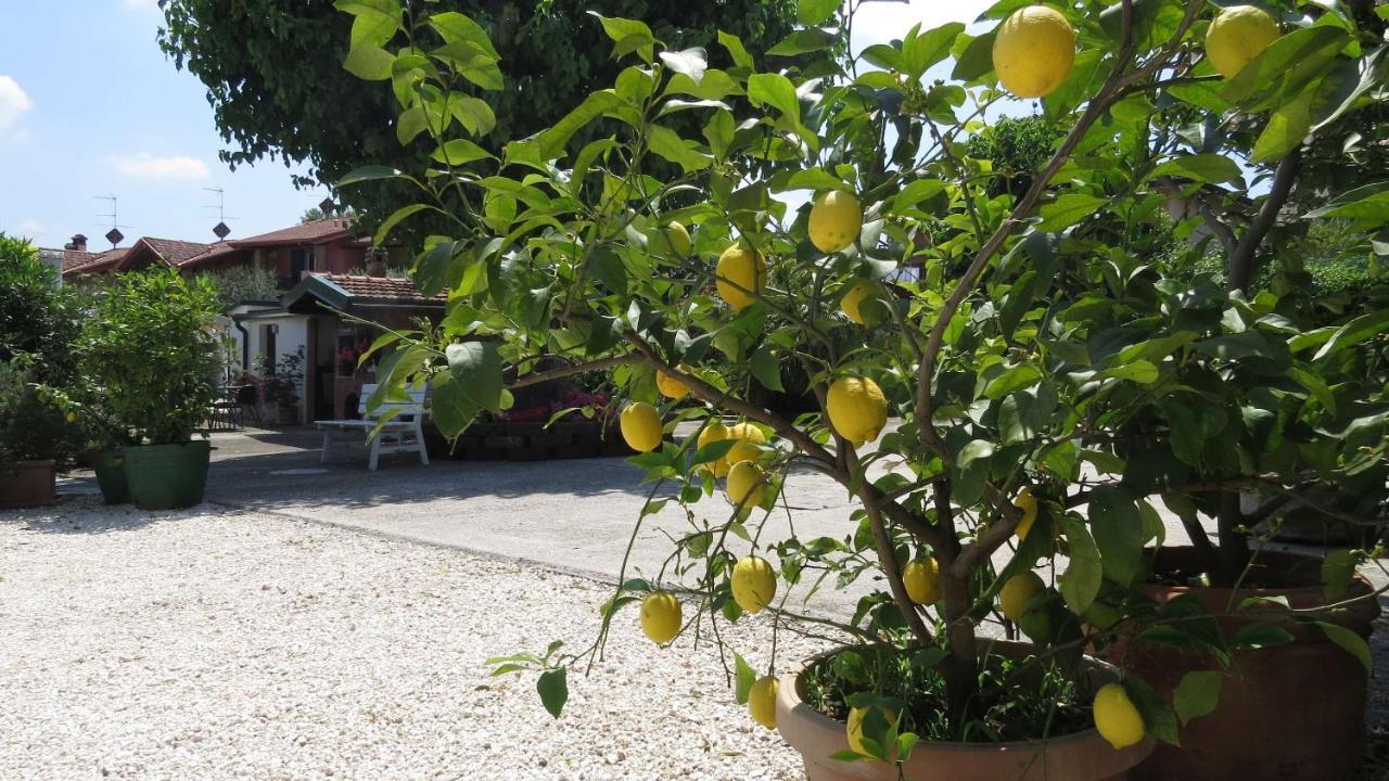 Il Gelso Di Barcuzzi Bed & Breakfast Lonato Eksteriør bilde