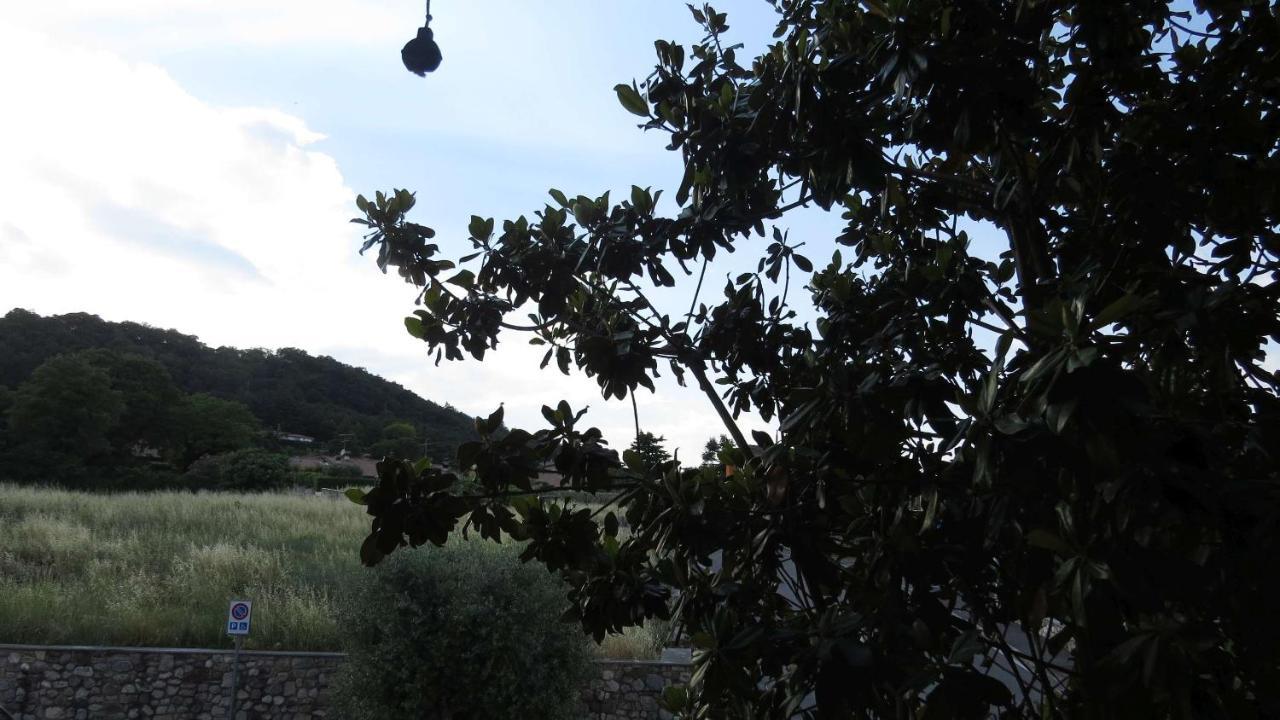 Il Gelso Di Barcuzzi Bed & Breakfast Lonato Eksteriør bilde