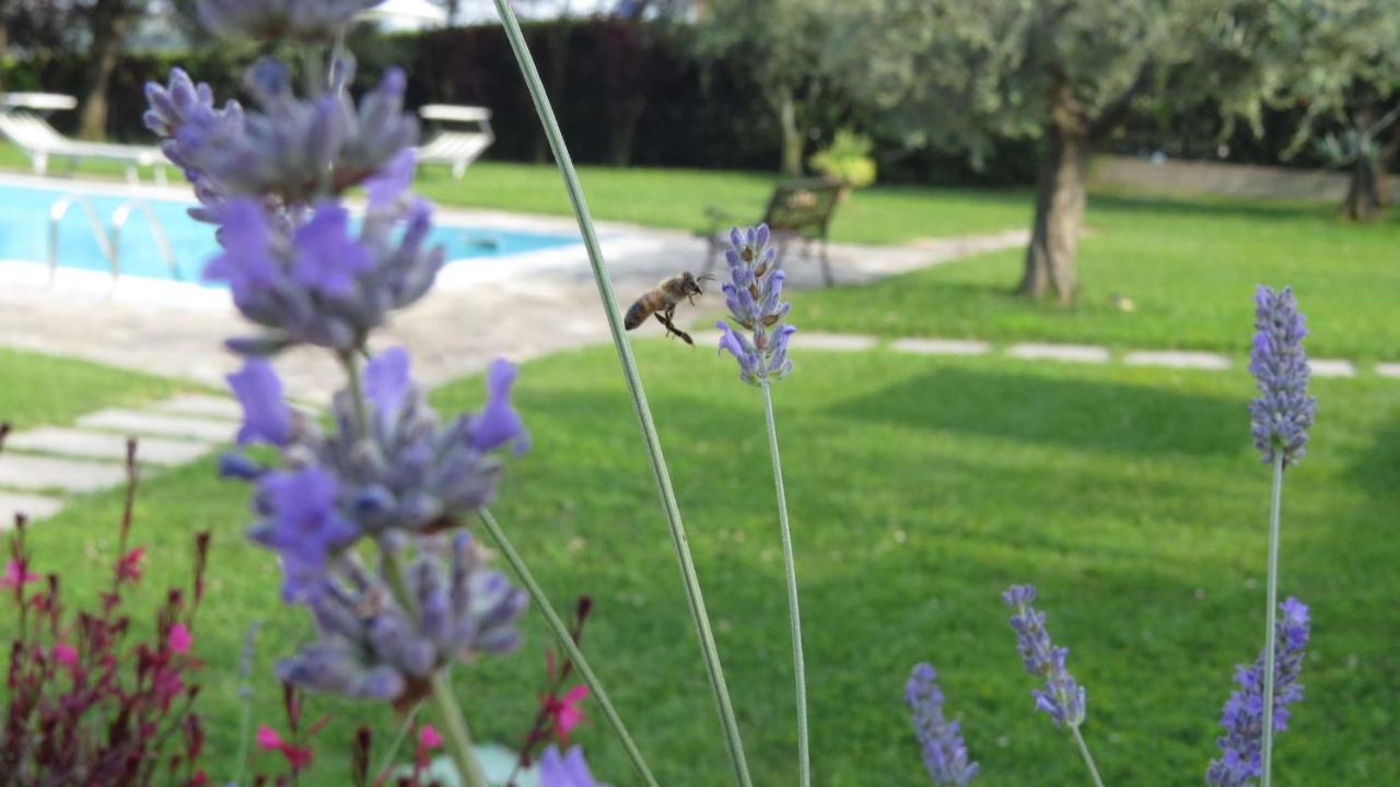 Il Gelso Di Barcuzzi Bed & Breakfast Lonato Eksteriør bilde
